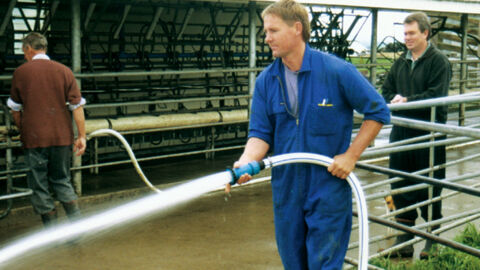 Anka washing cow shed